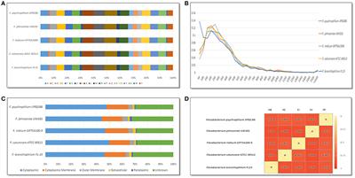 Comparative Genomics and Transcriptional Analysis of <mark class="highlighted">Flavobacterium columnare</mark> Strain ATCC 49512